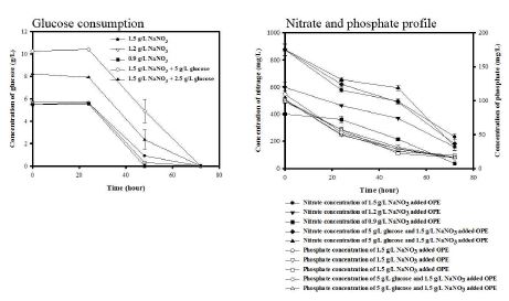 그림 14. Time course of glucose, nitrate and phosphate consumption under various concentration of NaNO3. 3번 반복하여 standard error를 에러바로 만들었음