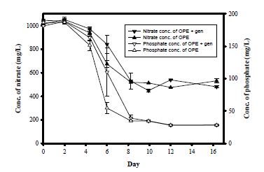 그림 44. Axenic culture를 이용하여, OPE 배지 및 10 μg/ml gentamicin이 첨가된 OPE 배지에서 배양을 하였을 시 nitrate와 phosphate의 농도 변화