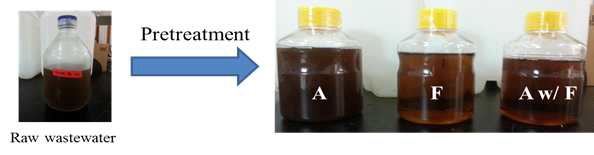 그림 48. 설탕공장폐수의 다양한 전처리 방법 (A: autoclave, F: 0.2 μm filtration, A w/F: filtration and autoclave)