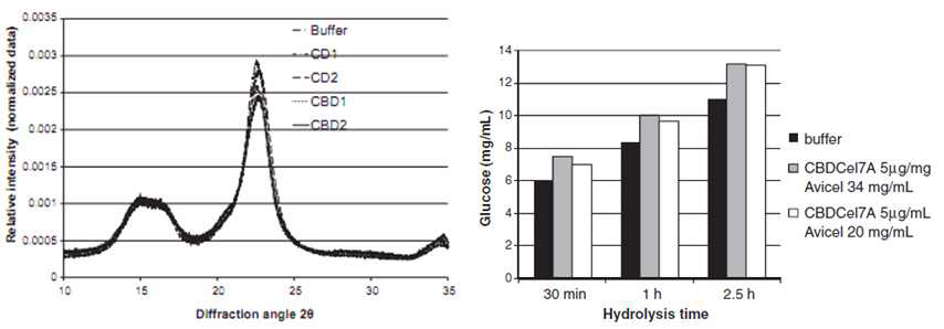 CBD의 유무에 따른 결정화도 변화를 나타내는 그래프(좌)와 CBD와 가수분해 정도(Glucose 양)와의 관계를 나타내는 그래프(우)