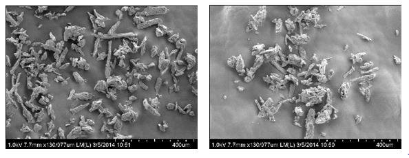버퍼(대조군, 왼) 및 1-Methylimidazole (실험군, 오른) 전처리에 따른 Avicel의 표면