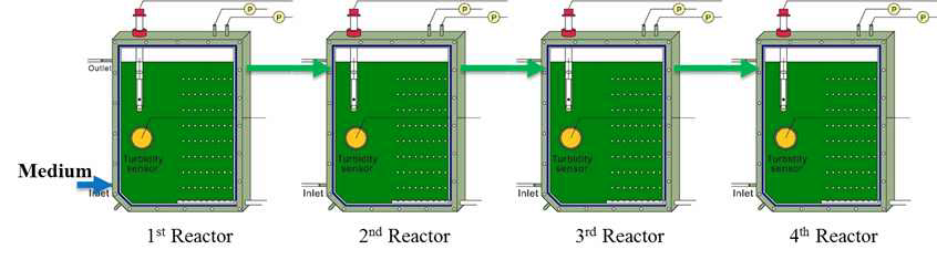 연쇄 광반응기(series-photobioreactors) 공정