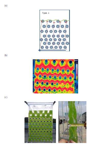 두께 5 cm의 평판 광생물반응기 ((a)도면, (b)열화상사진, (c)정면사진 및 측면사진)