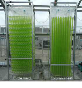 광생물반응기의 열접합부 디자인에 따른 반응기 사진
