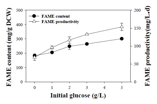 초기 포도당 농도에 따른 FAME 함량 및 FAME 생산성