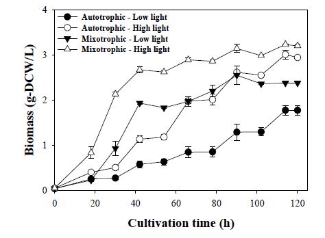 강한 빛 과 약한 빛 세기 조건에서 영양 조건에 따른 KR-1의 균체 농도 변화