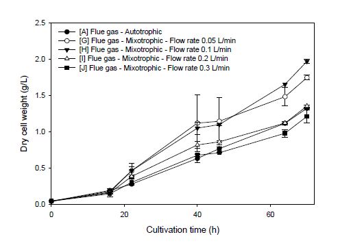 연소배가스를 이용한 혼합영양 배양에서의 가스 유량에 따른 KR-1의 균체농도 변화