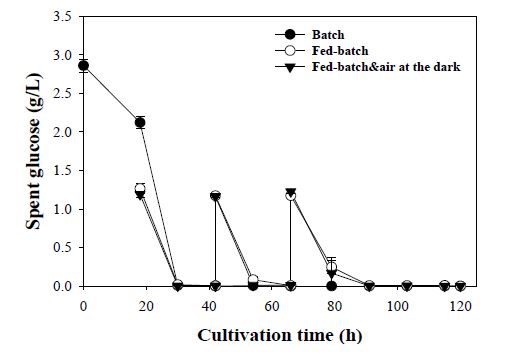 인공 CO2를 이용한 batch 및 fed-batch의 영양 조건에 따른 배양액 내 포도당 농도 변화