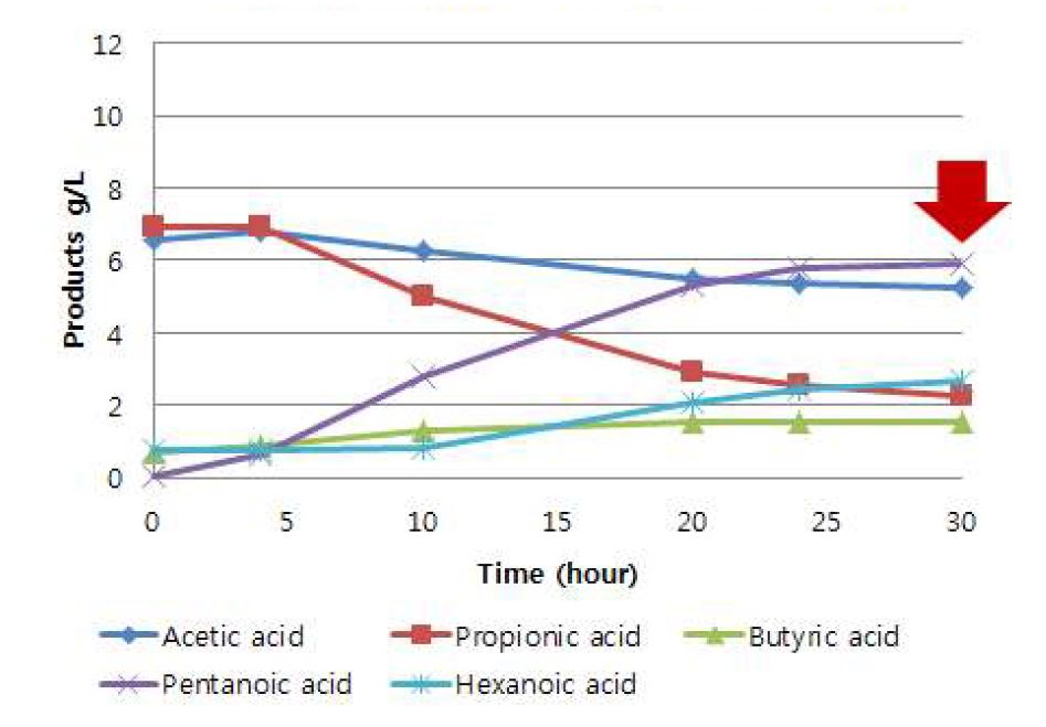 Propionic acid와 acetic acid를 첨가하여 pentanoic acid 생산