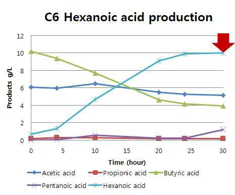 Butyric acid와 acetic acid를 첨가한 조건으로부터 hexanoic acid를 생산