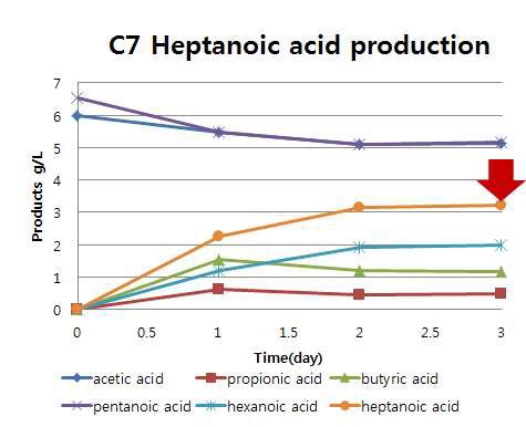 Pentanoic acid와 acetic acid를 첨가한 조건으로부터 heptanoic acid를 생산