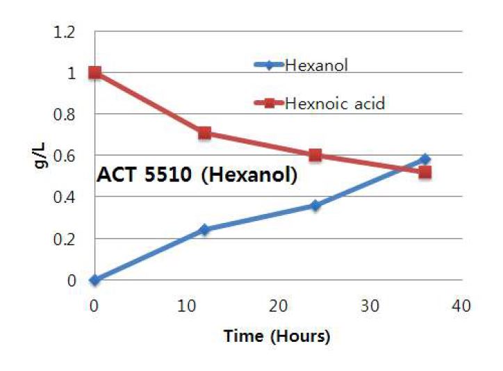 시간에 따른 hexanoic acid의 농도와 hexanol의 농도