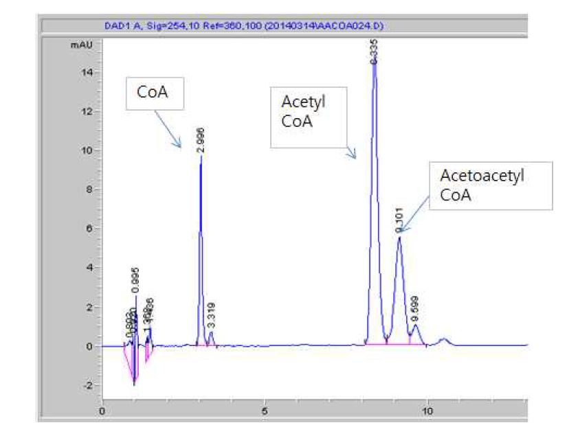 CoA와 acetyl CoA와 acetoacetyl CoA 분석결과