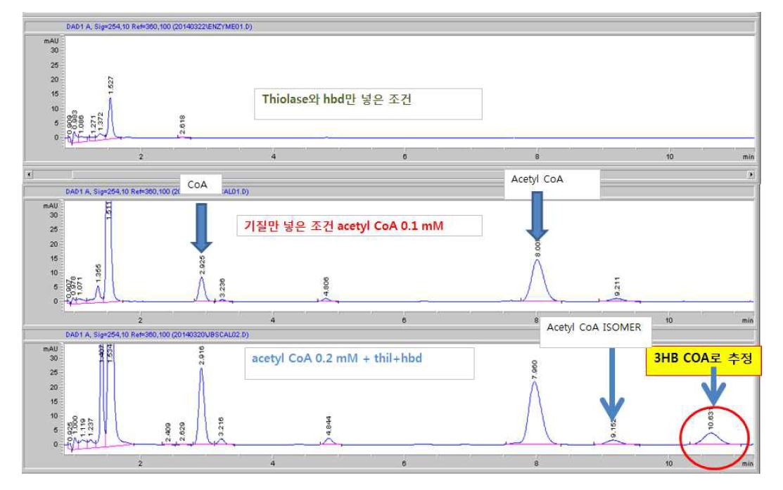 효소 반응 조건에 따른 HPLC 분석 결과