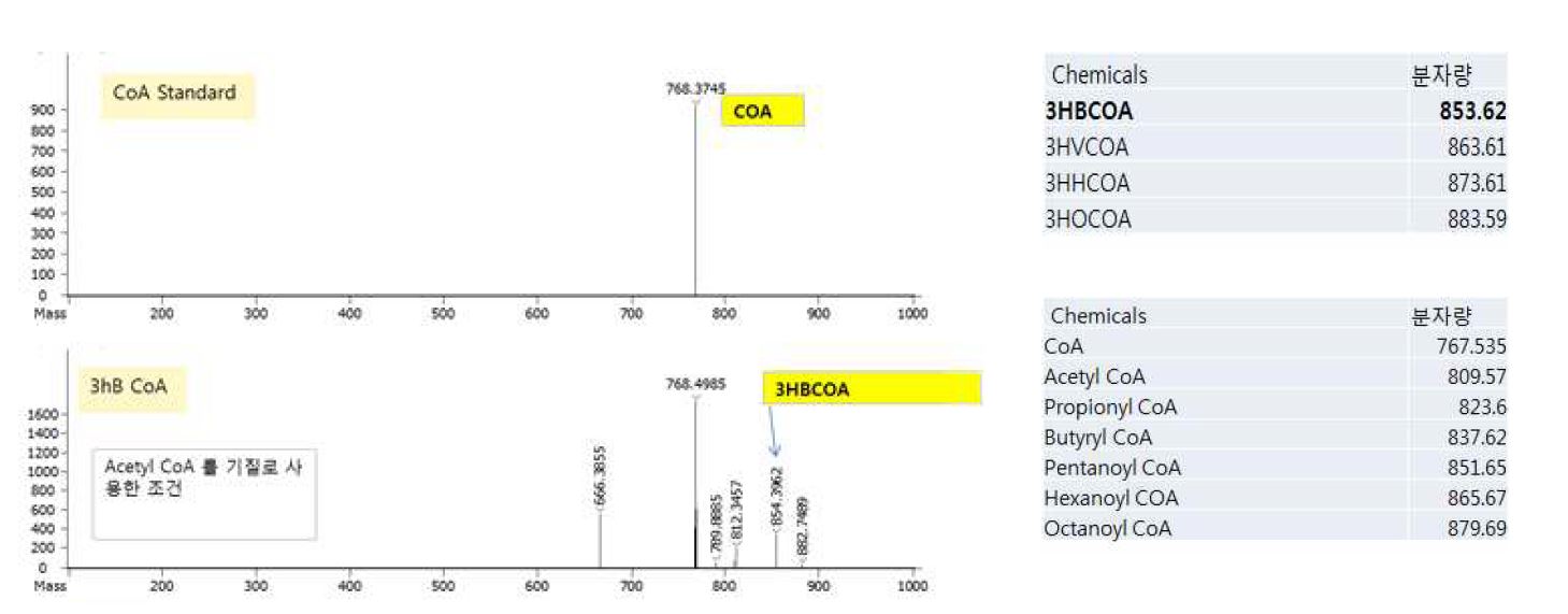 3HB CoA 분자에 대한 HPLC MS 결과