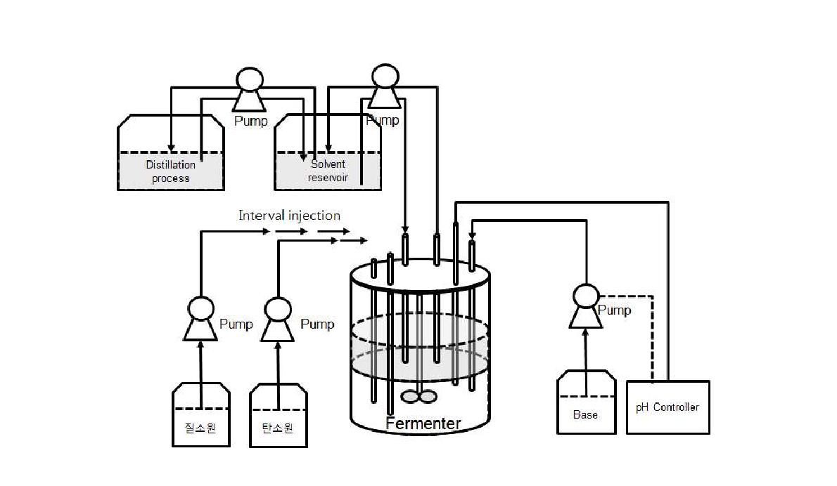 Caproiciproducens galactitovorans를 이용한 extractive fermentation 공정 개략도