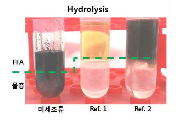 그림 5. 미세조류 중성지질의 hydrolysis 후 FFAs(상층)와 물 및 수용성 불순물(하층)로 층분리된 모습