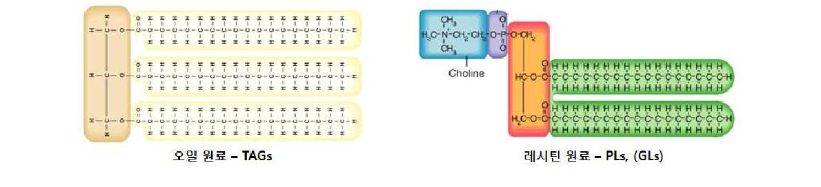그림 7. 일반적인 TAG 원료 및 lecithin 원료의 비교