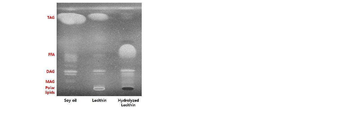 그림 10. Lecithin의 hydrolysis 전후의 TLC 전개 결과