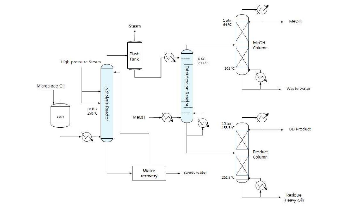 그림 14. 미세조류 오일의 바이오디젤 생산 공정 설계도