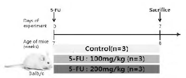 Experimental design