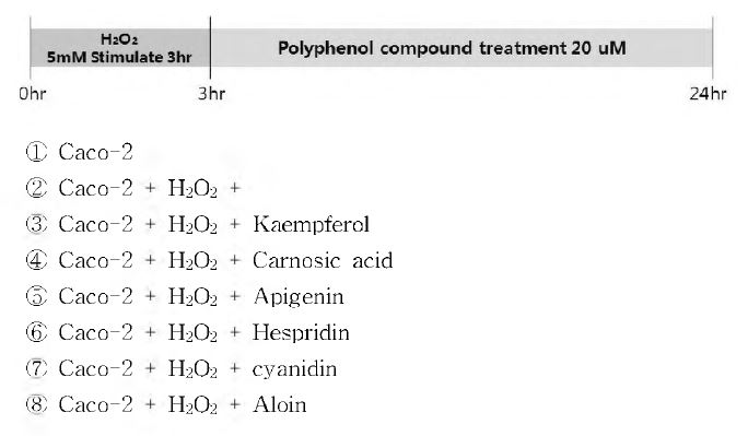 Experimental Groups