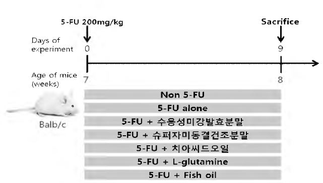 Experimental design