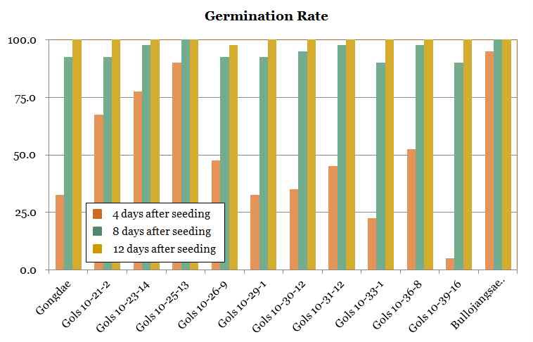 GolS10 계통의 발아율