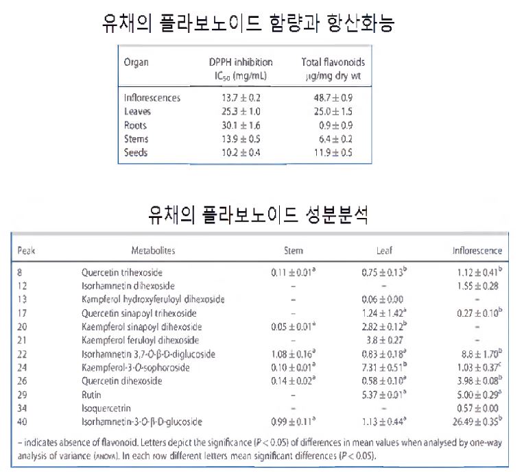 유채의 플라보노이드 성분 분석