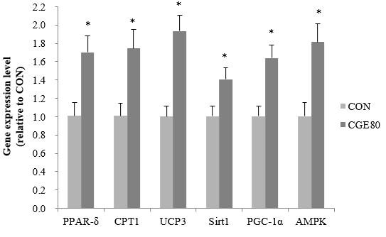 Effects of CGE80 on mRNA Expression.