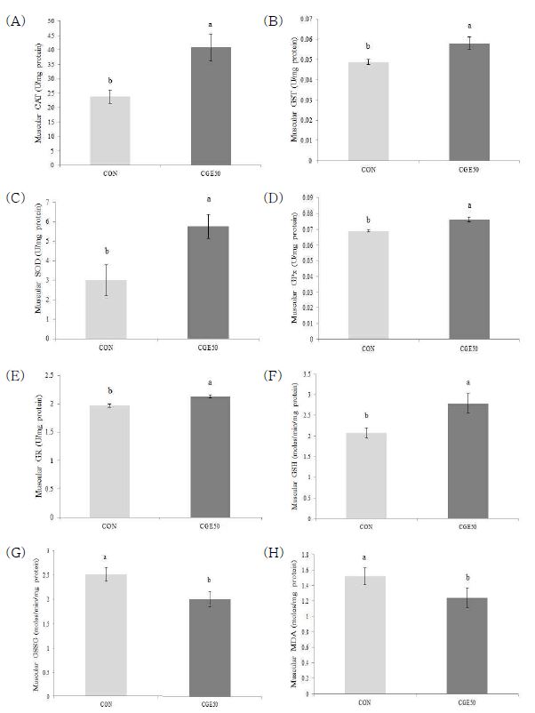 Effects of CGE50 on Antioxidant Activity in Muscle.