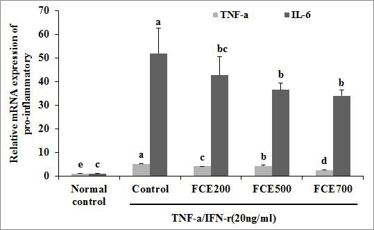 Effect of fermented Canavalia gladiata extracts on pro-inflammatory type cytokines (IL-6, TNF-a) production from TNF-α and IFN-γ stimulated Keratinocyte.