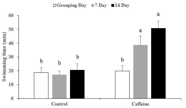 Effects of Caffeine on Endurance Swimming Capacity in Mice.