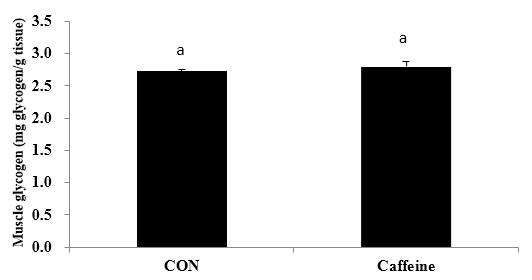 Effects of Caffeine on Muscle Glycogen Level.