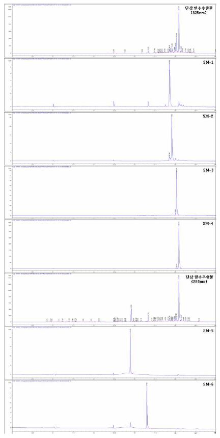 단삼 열수추출물 Semi-Prep. LC 단일물질 분석 결과