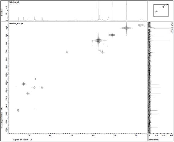화합물 PA-3의 HMQC spectrum