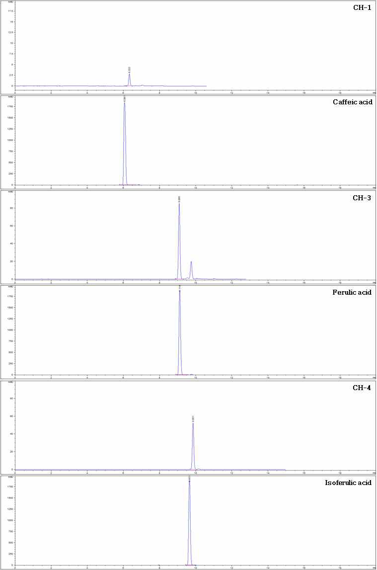 CH-1, CH-3, CH-4와 표준품 caffeic acid, ferulic acid, isoferulic acid의 HPLC retention time 비교