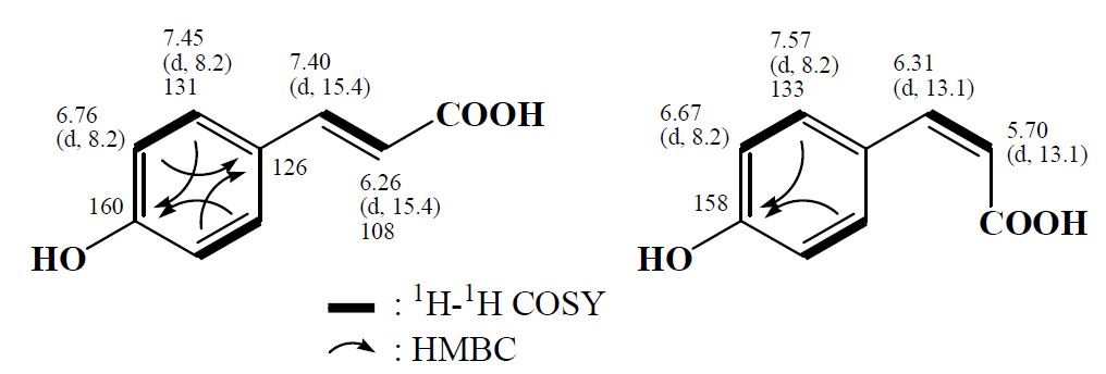 2차원 NMR 분석에 의하여 규명한 화합물 CH2의 부분구조