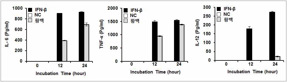 한방생약소재 황백에 의한 pro-inflammatory cytokine 분비 검증 (면역세포)