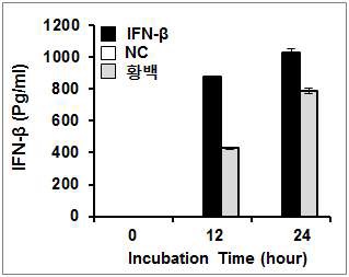 한방생약소재 황백에 의한 Interferon-β 분비 검증 (면역세포)