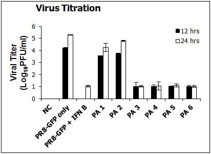 황백 유래 성분들의 항 Influenza virus 효능 검증 (10ug)