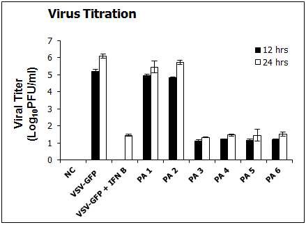 황백 유래 성분들의 항 Vesicular Stomatitis virus 효능 검증 (5ug)