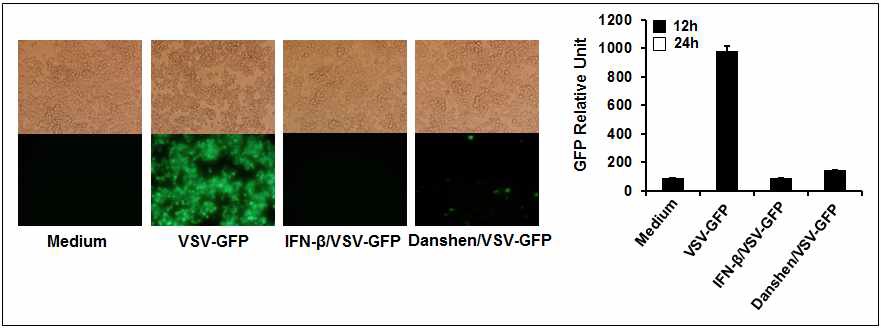 한방생약소재 단삼의 항 Vesicular Stomatitis virus 효능 검증