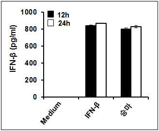 한방생약소재 승마에 의한 Interferon-β 분비 검증