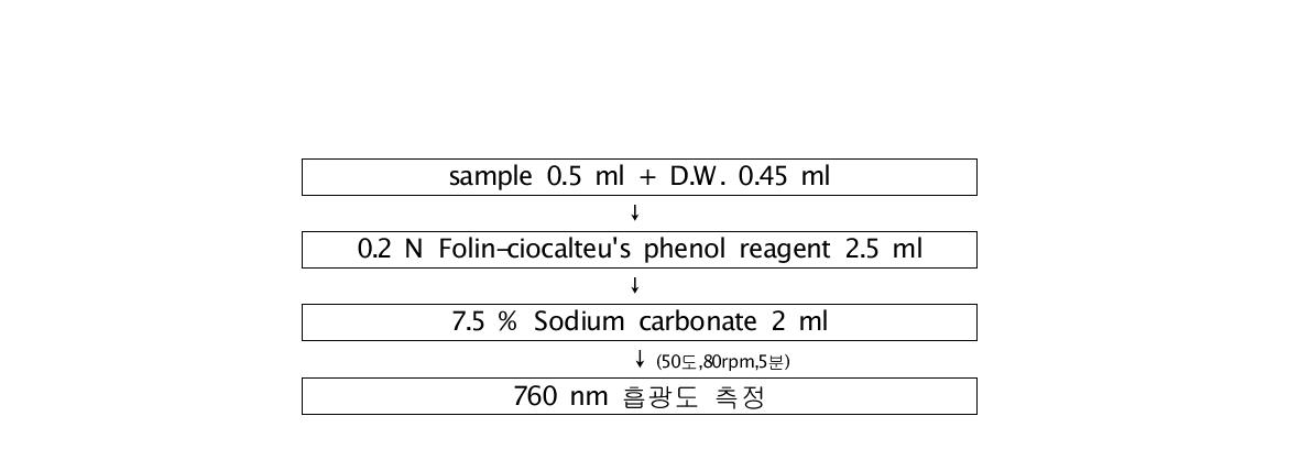 총 폴리페놀 함량 측정.