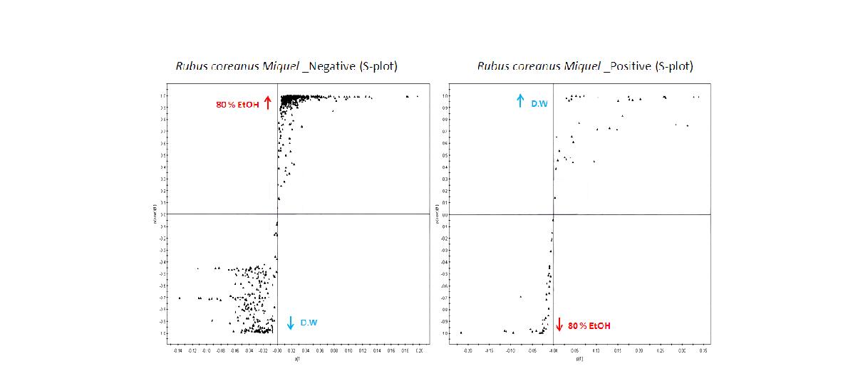 복분자 추출물 대사체 (물, 에탄올)의 OPLS-DA (Orthogonal partial least squared discriminant analysis) 분석.