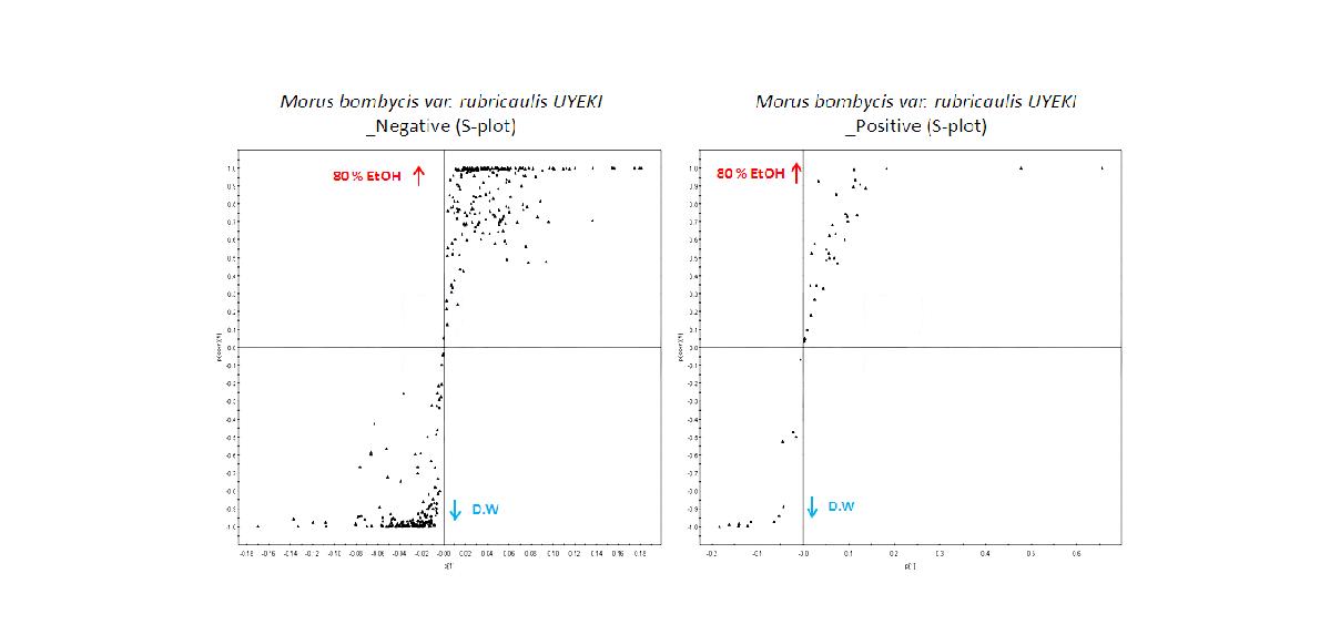 오디 추출 대사체 (물, 에탄올)의 OPLS-DA (Orthogonal partial least squared discriminant analysis) 분석.