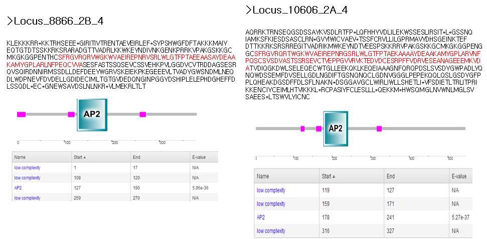 양배추 발현유전체 정보에서 확보된 DREB 후보 유전자의 분석 결과 (AP2 domain 보유 여부 확인 분석)