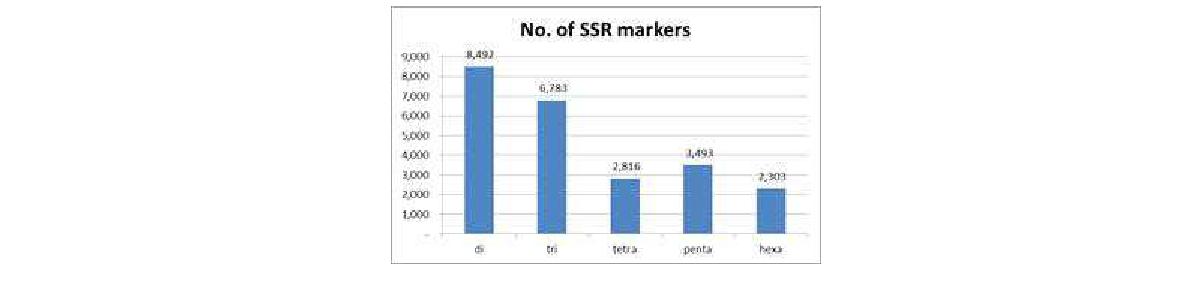 Statistics of SSR markers
