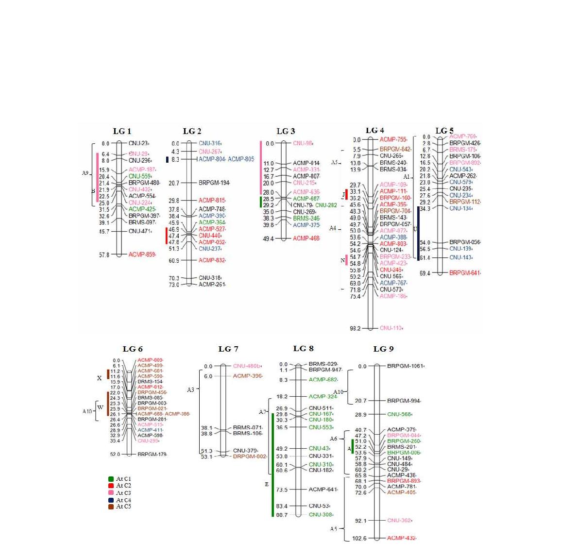 양배추류 ‘BolTBDH’ 집단을 이용한 유전자 연관지도.